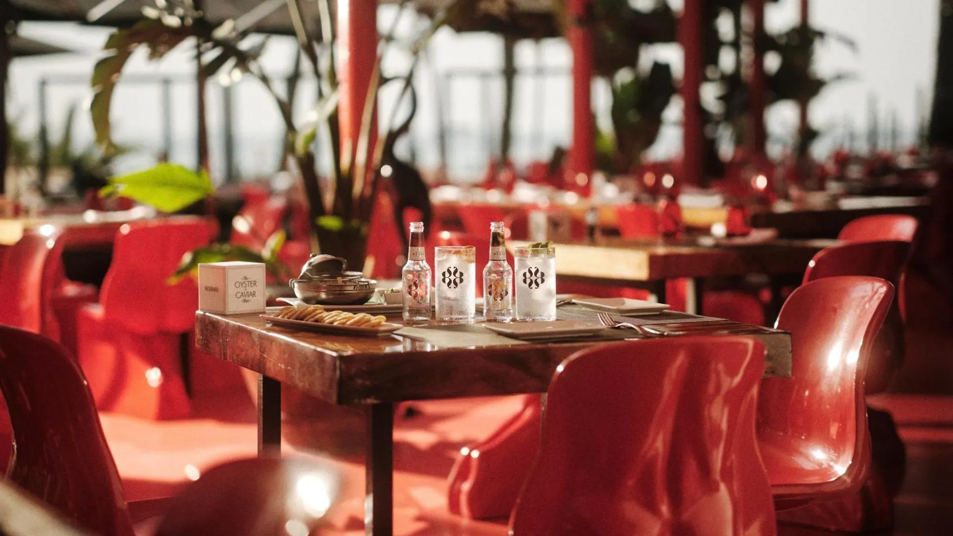The Unexpected Ibiza Hotel - Ushuaia Club Entrance Included (Adults Only) Playa d'en Bossa